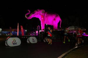 BIB: 
                            <button type="button" onclick="openModal(26543076)" class="btn btn-primary btn-sm float-right btn-popup" data-toggle="modal" data-target=".modal-high-quality">
                        <i class="fas fa-shopping-cart"></i> Add to Cart
                    </button>
                                            <button type="button" onclick="isThisMe(26543076, true)" class="btn btn-success btn-sm float-right btn-popup btn-isme hidden" data-toggle="tooltip" data-placement="bottom" title="นี่คือรูปของคุณใช่ไหม คลิกที่นี่เพื่อเอาเข้าอัลบั้ม">
                        <i class="fas fa-plus"></i> Add to album
                    </button>
                    <button type="button" onclick="isThisMe(26543076, false)" class="btn btn-warning btn-sm float-right btn-popup btn-isnotme hidden">
                        <i class="fas fa-ban"></i> Remove from album
                    </button>